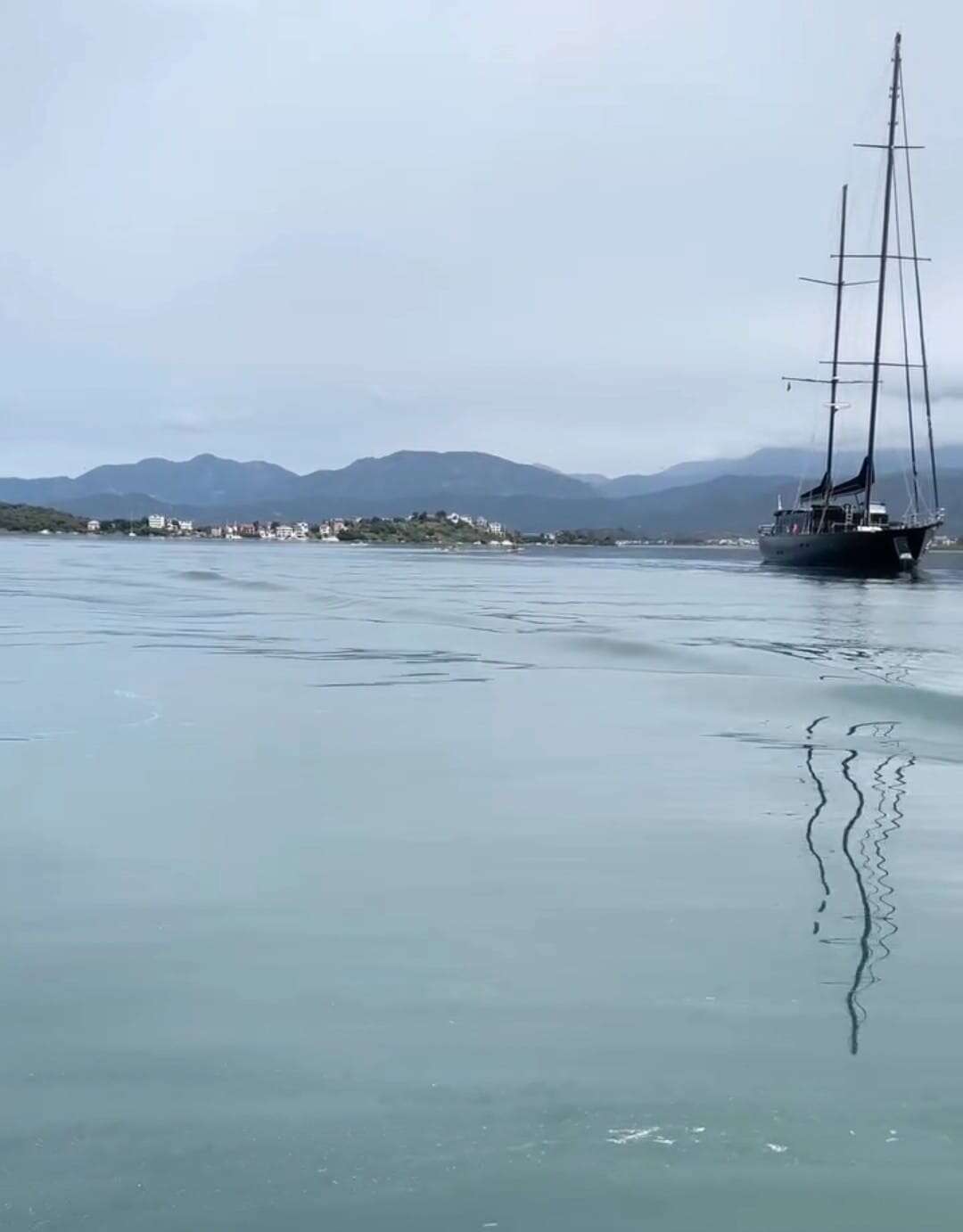 Fethiye Körfezi'nde Yunus Sürprizi 5